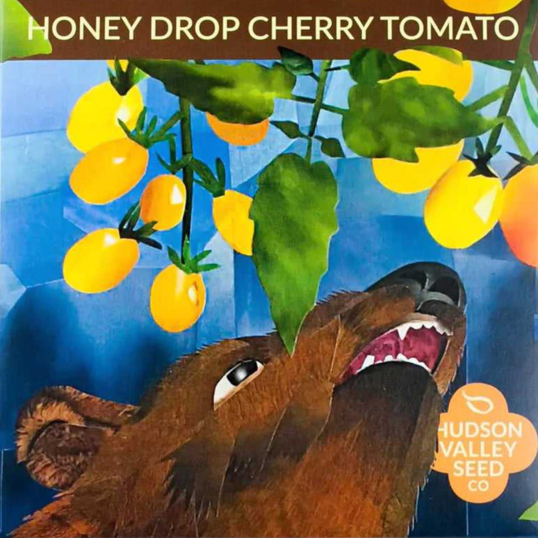 Honey Drop Cherry Tomato Seeds